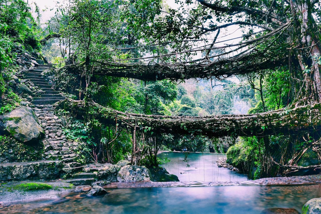 Exploring the Abode of Clouds: A Memorable Trip to Meghalaya